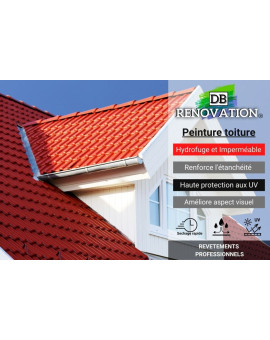 DB-600 PEINTURE TOIT Rénovation tuile - Haute imperméabilité, forte protection UV - 12KG