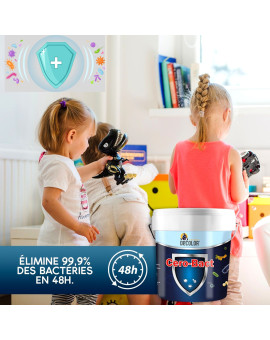 Peinture Murale Antibactérienne aux ions d'argent - 4L