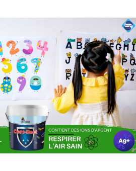 Peinture Murale Antibactérienne aux ions d'argent - 4L