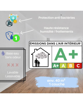Peinture Murale Antibactérienne aux ions d'argent - 4L