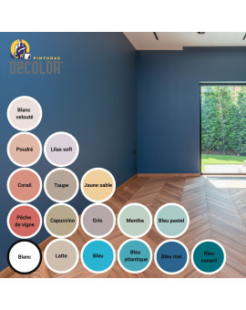 Peinture Murale Antibactérienne aux ions d'argent - 4L