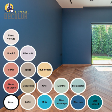 Peinture Murale Antibactérienne aux ions d'argent - 4L
