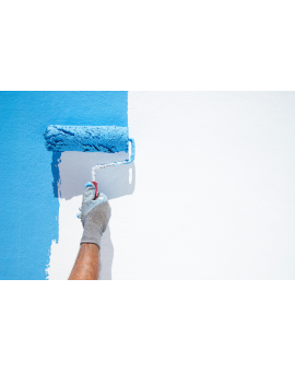 DECOFIX Primaire pour peinture solvantée 1L