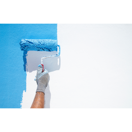 DECOFIX Primaire pour peinture solvantée 1L