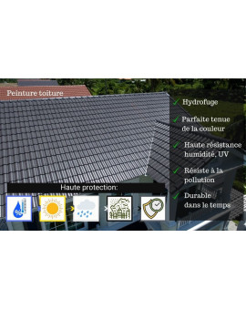 DB-600 PEINTURE TOIT Rénovation tuile - Haute imperméabilité, forte protection UV - 12KG