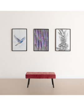 Peinture murale MATE EXTRA Intérieur