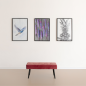 Peinture murale MATE EXTRA Intérieur