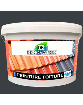 DB-600 PEINTURE TOIT Rénovation tuile - Haute imperméabilité, forte protection UV - 12KG